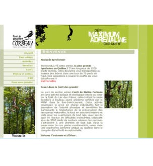 Forêt de maître corbeau