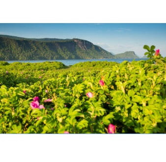 Parc du Bic